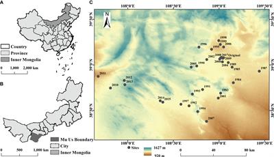 Promoting effects of soil C and N and limiting effect of soil P jointly determine the plant diversity during the aerial seeding restoration process in Mu Us sandy land, China